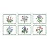 Pimpernel Botanic Garden Placemats, Set of 6, 30.5 x 23cm view 1