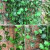 GPARK 84ft 12 Pack / 82 inch, Artificial Ivy Garland Fake Leaf Plants Vine, Hanging Leaves Garlands for Wedding Party Garden Kitchen Outdoor Greenery Wall Decor Green view 3