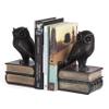 Danya B. Owl Bookends Decorative Rustic Bookshelf Decor - Owls Bookend Set for Heavy Books - Bronze Finish view 1