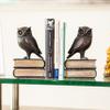 Danya B. Owl Bookends Decorative Rustic Bookshelf Decor - Owls Bookend Set for Heavy Books - Bronze Finish view 2