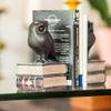 Danya B. Owl Bookends Decorative Rustic Bookshelf Decor - Owls Bookend Set for Heavy Books - Bronze Finish view 4