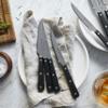 HENCKELS Razor-Sharp Steak Knife Set of 8, German Engineered Informed by 100+ Years of Mastery view 3