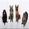 3.5 to 6-Inch Buri Woodland Animal Ornament Set, 4 Assorted Styles view 1