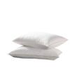 Luxurious Two (2) Goose Down Pillow - 500 Thread Count 100% Egyptian Cotton Cover, Medium Firm, Standard/Queen Size, Set of 2 view 1
