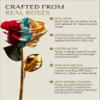 Forever Rose 24K Gold Dipped Real Rose  Handmade, Long-Lasting Preserved Flower in Gold Gift Box  Romantic Gift for Anniversary, Valentine's Day, Mother's Day, Birthday, Wedding, Wife, Girlfriend view 2