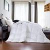 600 Thread Count King/Cal King Size Goose Down Alternative Comforter 100% Egyptian Cotton 600 TC, 750FP, 50Oz - Solid White view 2