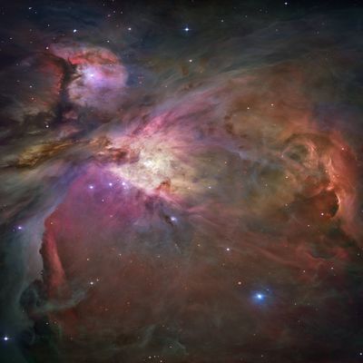Hubble Space Telescope Photo Orion Nebula NASA Photos 8x10