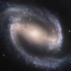 Hubble Space Telescope Photo Barred Spiral Galaxy NASA Photos 8x10 view 1