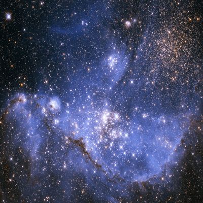 Space Telescope Photo Infant Stars in the Small Magellanic Cloud NASA Photos 8x10