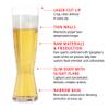 Spiegelau Beer Classics Tall Pilsner Glasses, Set of 4, European-Made Lead-Free Crystal, Modern Beer Glasses, Dishwasher Safe, Professional Quality Pilsner Glass Gift Set, 15 oz view 2
