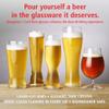 Spiegelau Beer Classics Tall Pilsner Glasses, Set of 4, European-Made Lead-Free Crystal, Modern Beer Glasses, Dishwasher Safe, Professional Quality Pilsner Glass Gift Set, 15 oz view 3