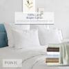 Pointehaven 100% Cotton Sheets King Size, 500 Thread Count Sateen Weave Bed Sheet & Pillowcase Sets, Soft Cotton 4 Piece Bed Sheets Set, Fits Mattress 21 inches Deep Pocket - White view 2