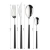 Pinti Sushi Queen for Red Vanilla 24 Piece Flatware Set, Ebony view 3