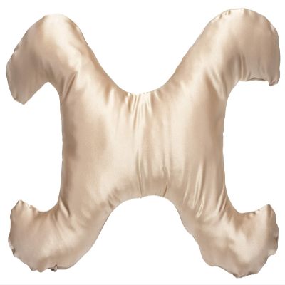 Save My Face!" La Petite Pillow (Champagne, Satin)
