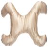 Save My Face!" La Petite Pillow (Champagne, Satin) view 1