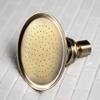 Kingston Brass P10AB Victorian Brass Showerhead, Antique Brass view 2