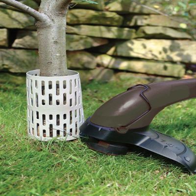 Dalen 8" Tree Guard [Set of 30]