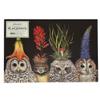 Baby Owls Disposable Paper Placemats - Designed by Vicki Sawyer American Made - 18 Sheets per Pad view 1