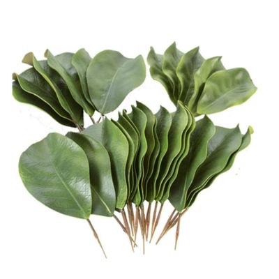BD CRAFTS Artificial Magnolia Leaves Pack of 30 Leaves