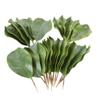 BD CRAFTS Artificial Magnolia Leaves Pack of 30 Leaves view 1