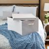Household Essentials 115 Storage Box with Lid and Handle | Natural Beige Canvas | Jumbo view 2