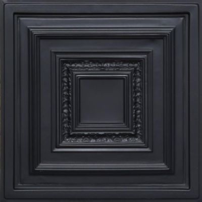 Antyx Black (24x24 PVC) Ceiling Tile