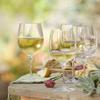 Luigi Bormioli Palace 11 oz White Wine Glasses (Set of 6), Clear view 4