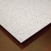 Genesis 2ft x 2ft Printed Pro Ceiling Tiles - Easy Drop-In Installation  Waterproof, Washable and Fire-rated - High-Grade PVC to Prevent Breakage (One Tile) view 4