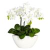 Nearly Natural Phalaenopsis Silk Flower Arrangement view 1