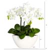 Nearly Natural Phalaenopsis Silk Flower Arrangement view 2