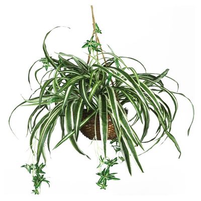 Nearly Natural 6607 Spider Hanging Basket Decorative Silk Plant, Green,10.25" x 10.25" x 17.5"