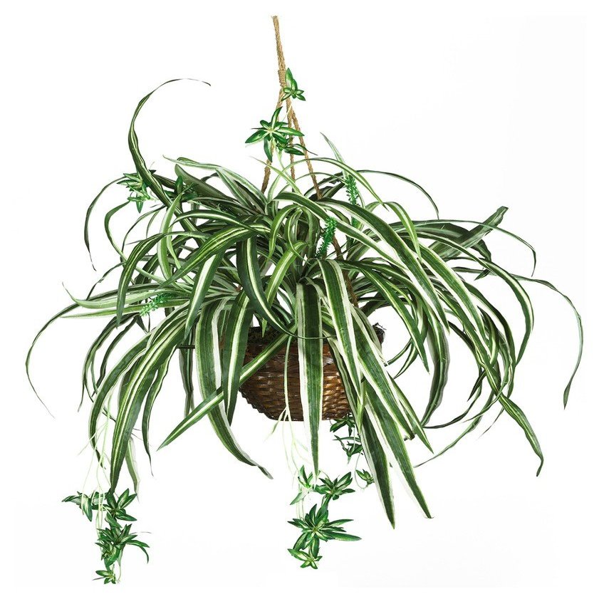 Nearly Natural 6607 Spider Hanging Basket Decorative Silk Plant, Green,10.25" x 10.25" x 17.5"