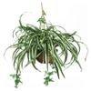 Nearly Natural 6607 Spider Hanging Basket Decorative Silk Plant, Green,10.25" x 10.25" x 17.5" view 1