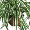 Nearly Natural 6607 Spider Hanging Basket Decorative Silk Plant, Green,10.25" x 10.25" x 17.5" view 3