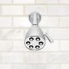 Speakman, Satin S-2252-AB-E2 Signature Brass Icon Anystream Adjustable Shower Head, 2.0 GPM view 3