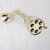 Speakman S-2252-PB Signature Brass Icon Anystream High Pressure Adjustable Shower Head, Polished Brass, 2.5 GPM view 2