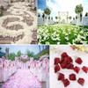 COTOSEY 4000 Pcs Silk Rose Artificial Petals Supplies Wedding Decorations (Ivory) view 2