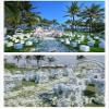 COTOSEY 4000 Pcs Silk Rose Artificial Petals Supplies Wedding Decorations (Ivory) view 3