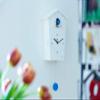 KOOKOO Birdhouse White, modern design cuckoo clock with 12 natural bird voices or cuckoo call view 3