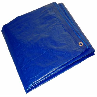 12' x 16' Foremost Tarp 81216 Blue Cut Size 5-Mil Tarp