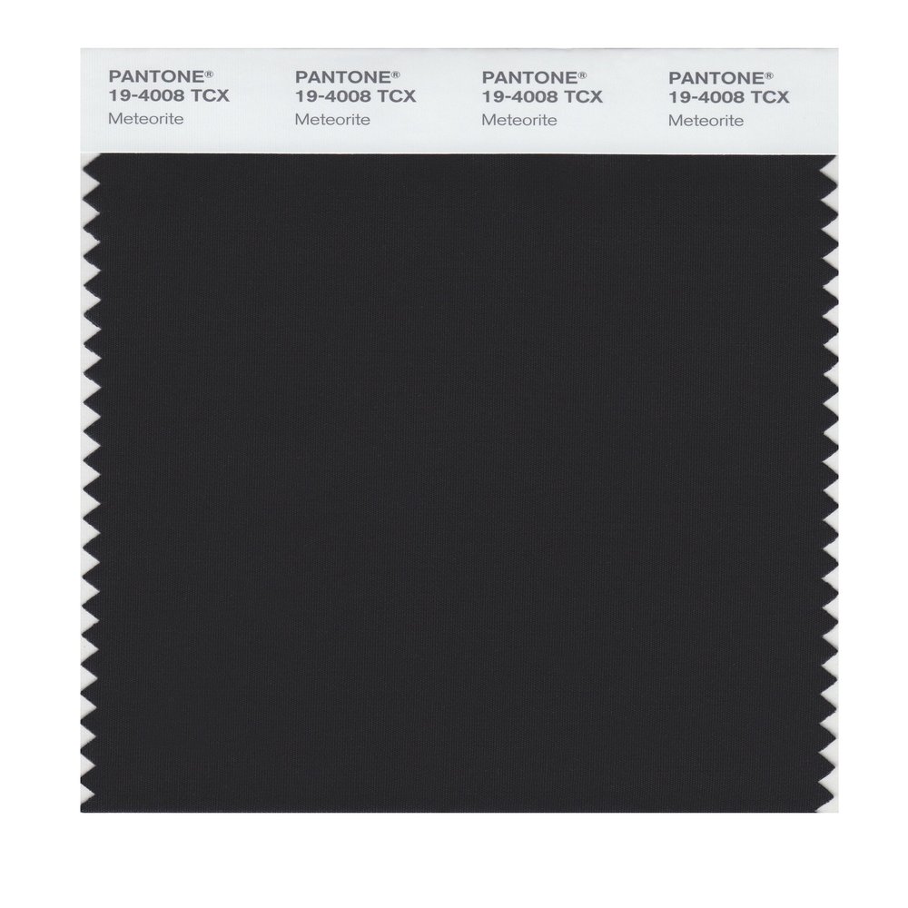 Pantone 19-4008 TCX Smart Color Swatch Card, Meteorite