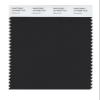 Pantone 19-4008 TCX Smart Color Swatch Card, Meteorite view 1
