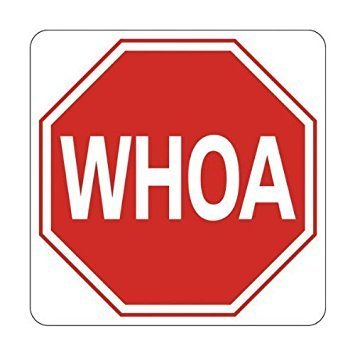 WHOA - Stop Sign - All Weather Barn Sign
