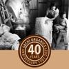 Sachi Organics Mini Buckwheat Hull Pillow view 2