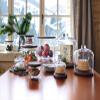 LSA CJ01 City Bowl & Walnut Lid 5in/H4.25in Clear view 4