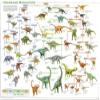 Dinosaur Evolution Poster Educational Rare New 24X36 view 1