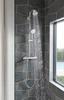 Grohe 27575002 Tempesta Cosmopolitan 2.5 GPM 4-Spray Hand Shower, Starlight Chrome view 2