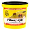 RICHDEL Fiberpsyll Valupak Bag view 1