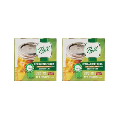 Ball Regular Mouth Mason Glass Jar Lids (24-Count), Silver