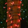 Novelty Lights 24FT 70 LED C6 LED Christmas String Lights, Commercial Grade Outdoor Tree Decorations (Red) view 2